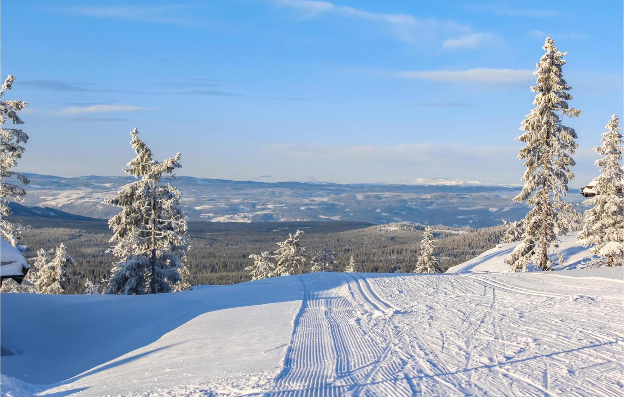 Stunning home in Sjusjøen with WiFi&2 Bedrooms Eksteriør bilde